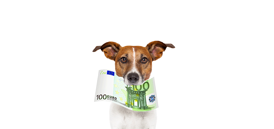 DRAFT---Hund
