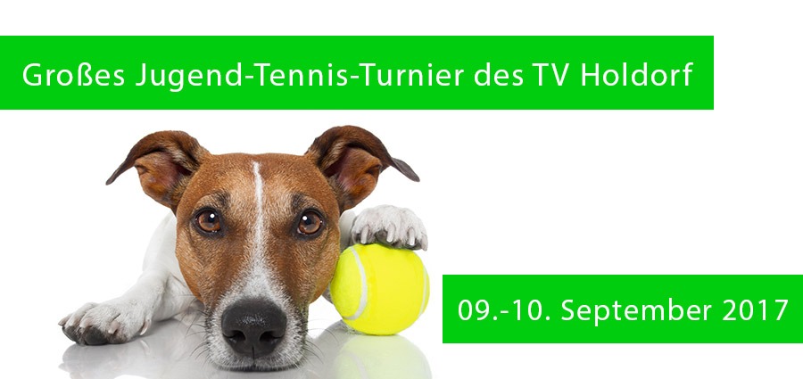 3-LizenzDirekt-Cup-2017-TV-Holdorf