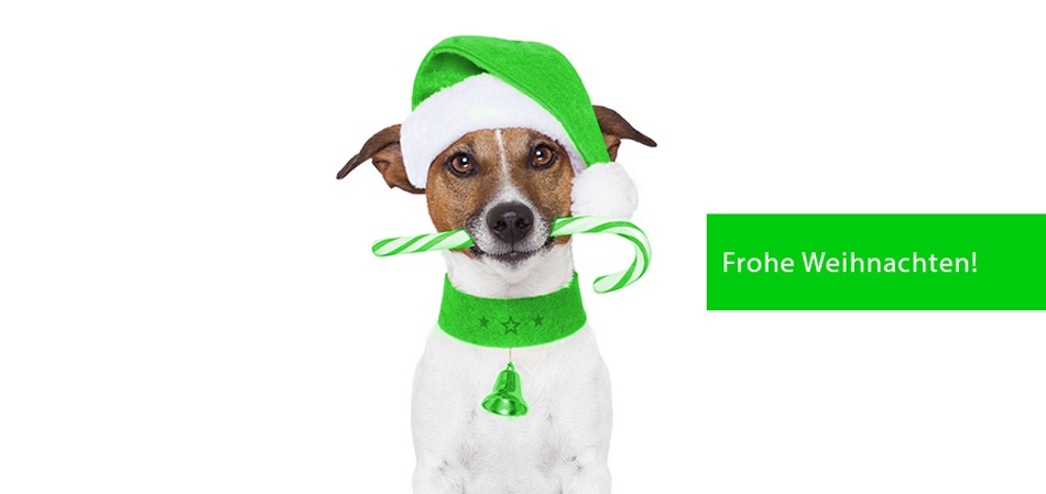 HEADER-WEIHNACHTEN-2016-WEBSEITE - Ihr Partner für gebrauchte Software-Lizenzen