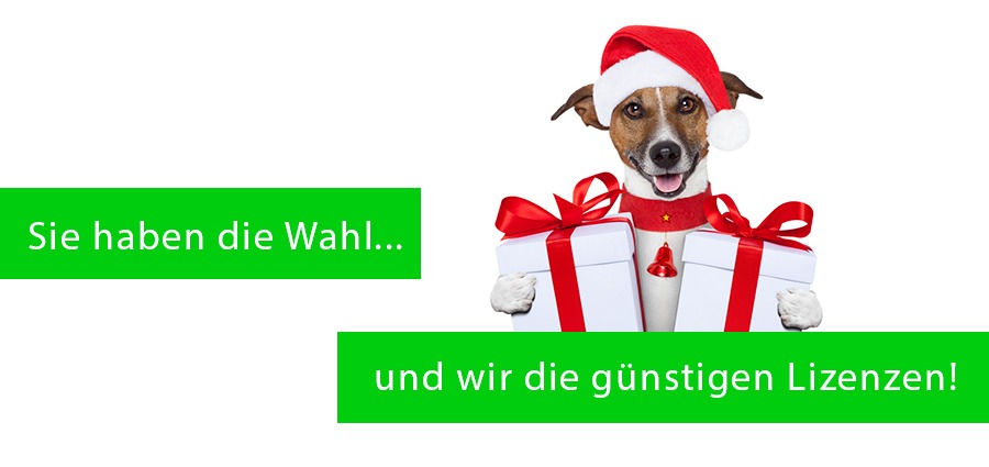 HEADER_WINTEROFFENSIVE - Ihr Partner für gebrauchte Software-Lizenzen