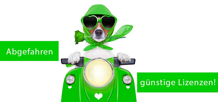 HUND-VESPA