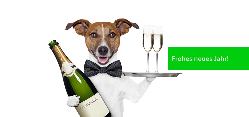 LD-HEADER-FROHES-NEUES-JAHR-2017