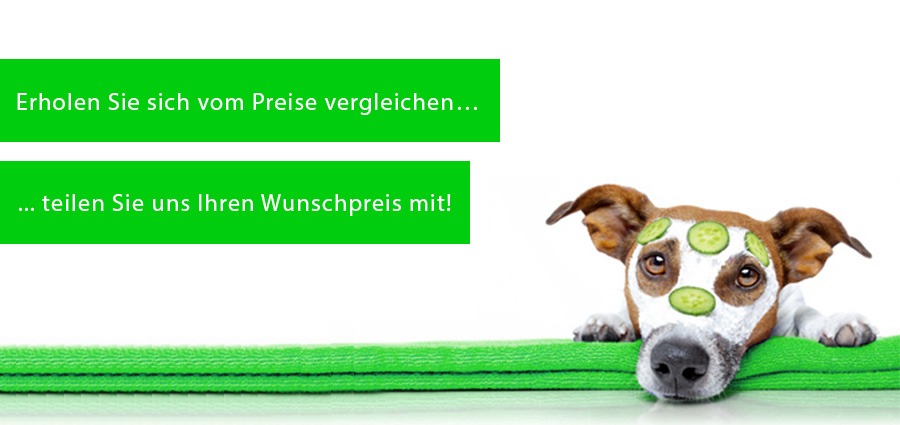 Preisvergleich-gebrauchte-Software-Lizenzen-LizenzDirekt-AG