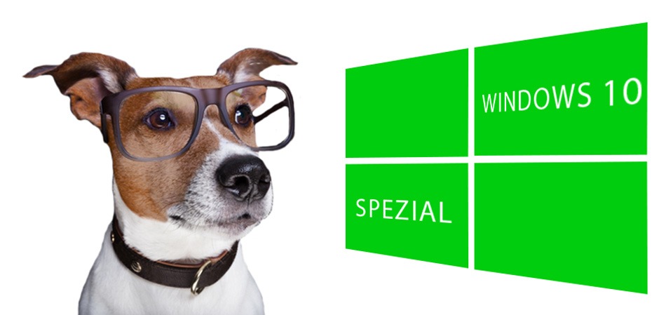gebrauchte-windows-10-lizenzen-guenstig-bei-lizenzdirekt-kaufen - Ihr Partner für gebrauchte Software-Lizenzen