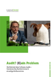 Leitfaden Grundsätze der Beschaffung gebrauchter Software-Lizenzen